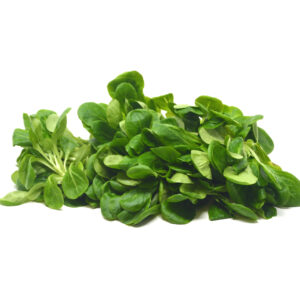 Salade de blé vrac +/- 200g – - – VAN DYCK FRERES SA