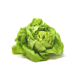 Salade laitue pièce – - – VAN DYCK FRERES SA