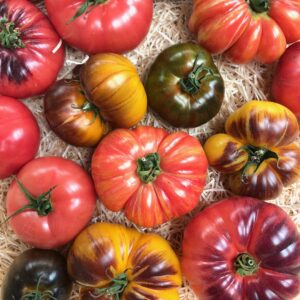 Tomates spéciales Belges vrac +/- 500g – Ces tomates belges sont toutes d'anciennes variétés choisies pour leur goût et leur adaptation à nos régions. – Ferme Delarbre