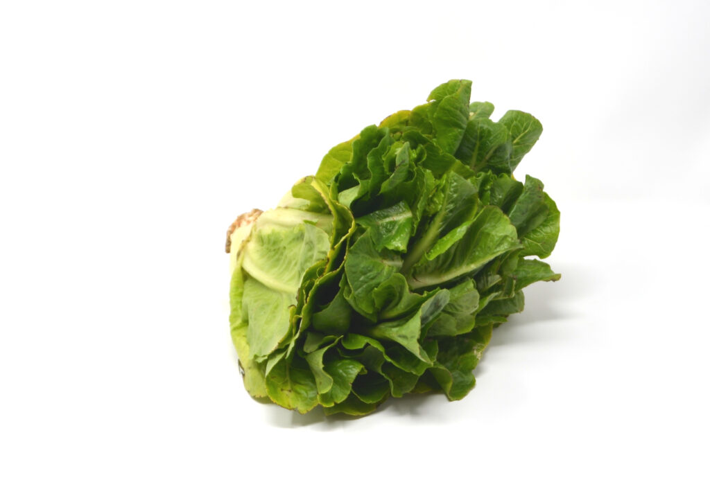 Salade romaine 1pc – - – Les Jardins de Mimie