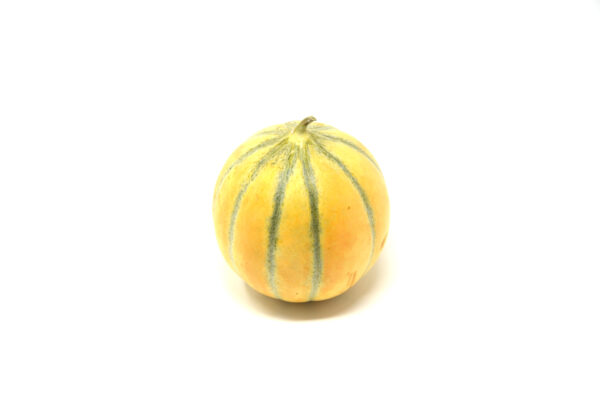 Melon charentais belge 1pc +/-1kg – - – Ferme Vrancken - Ferme d'Ossogne