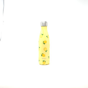 Bouteille iso.lemon 500 ml – - – QWETCH