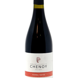 Terra Nova 2019 75cl – - – Domaine du Chenoy