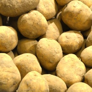 Pomme de terre Vitabella vrac 1kg Bio – - – Ferme du Tri Al Mé - Eddy Hermans